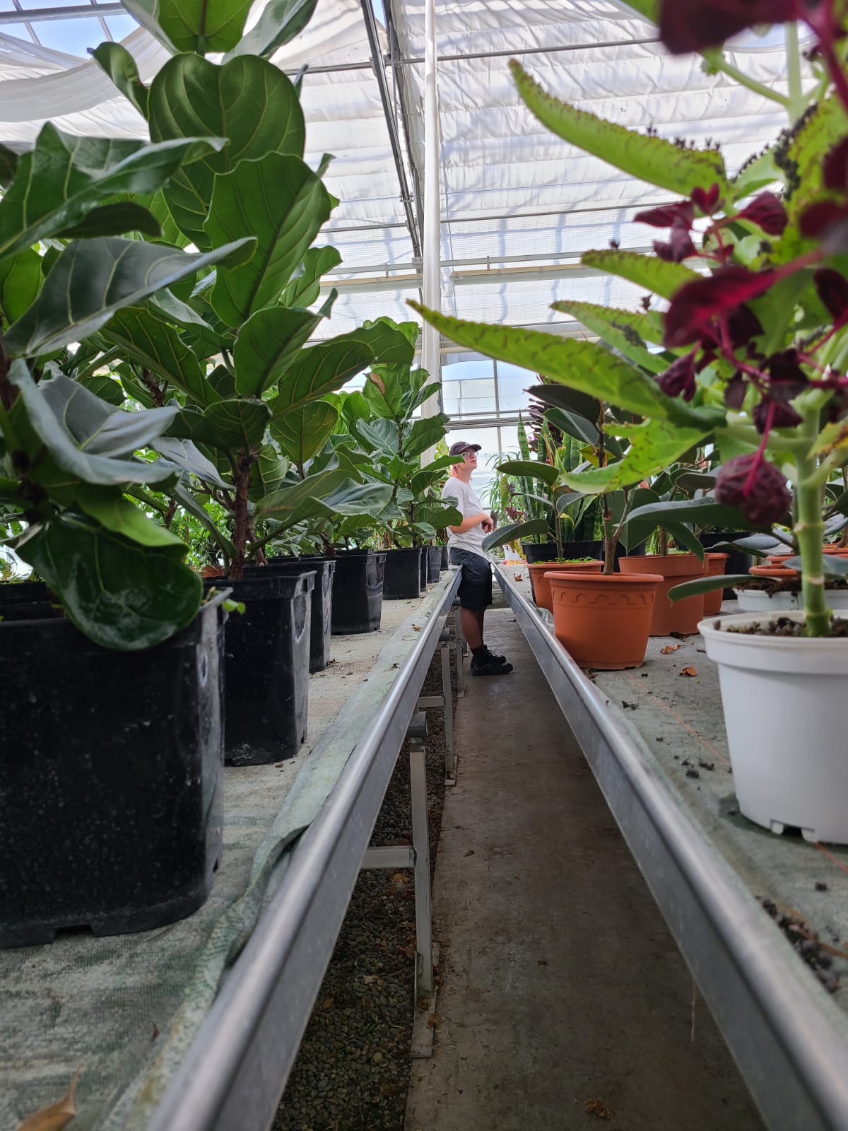 Pro CPH Techniques de management Lycée Horticole de la Tour du Pin