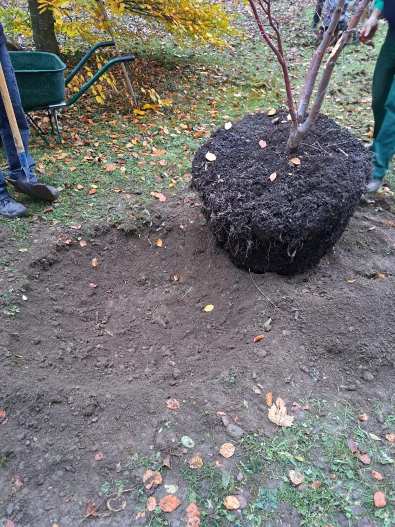IMG-20231127-WA0003