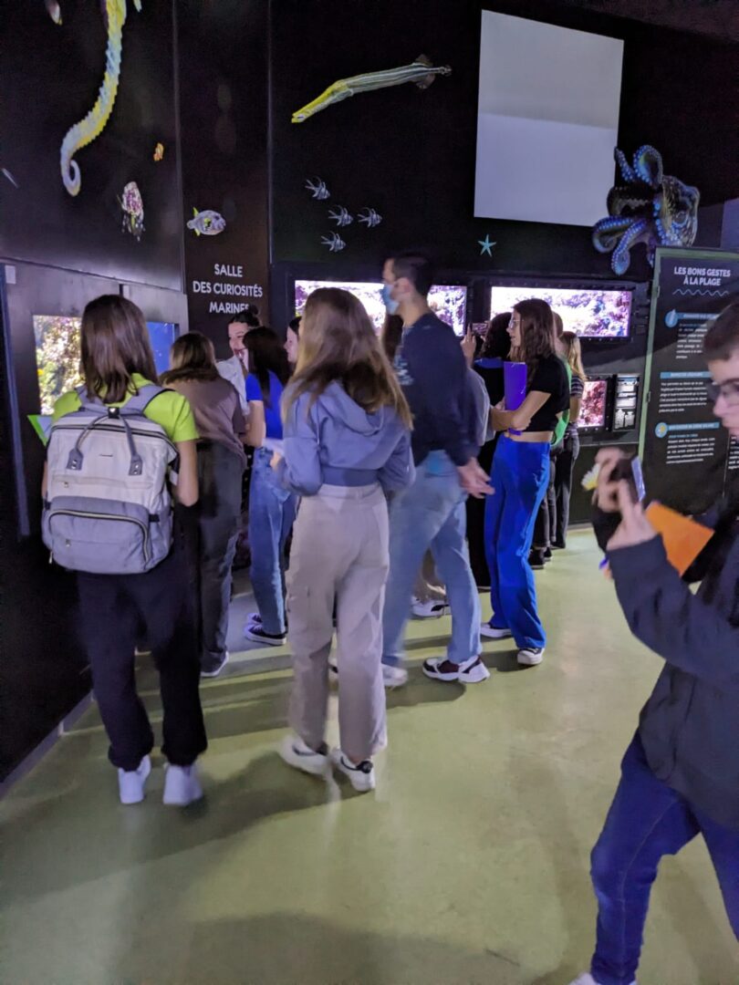 Visite guidée à l'aquarium