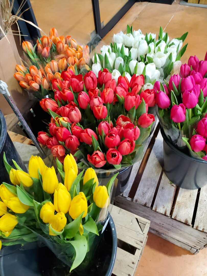IMG-20240328-WA0007