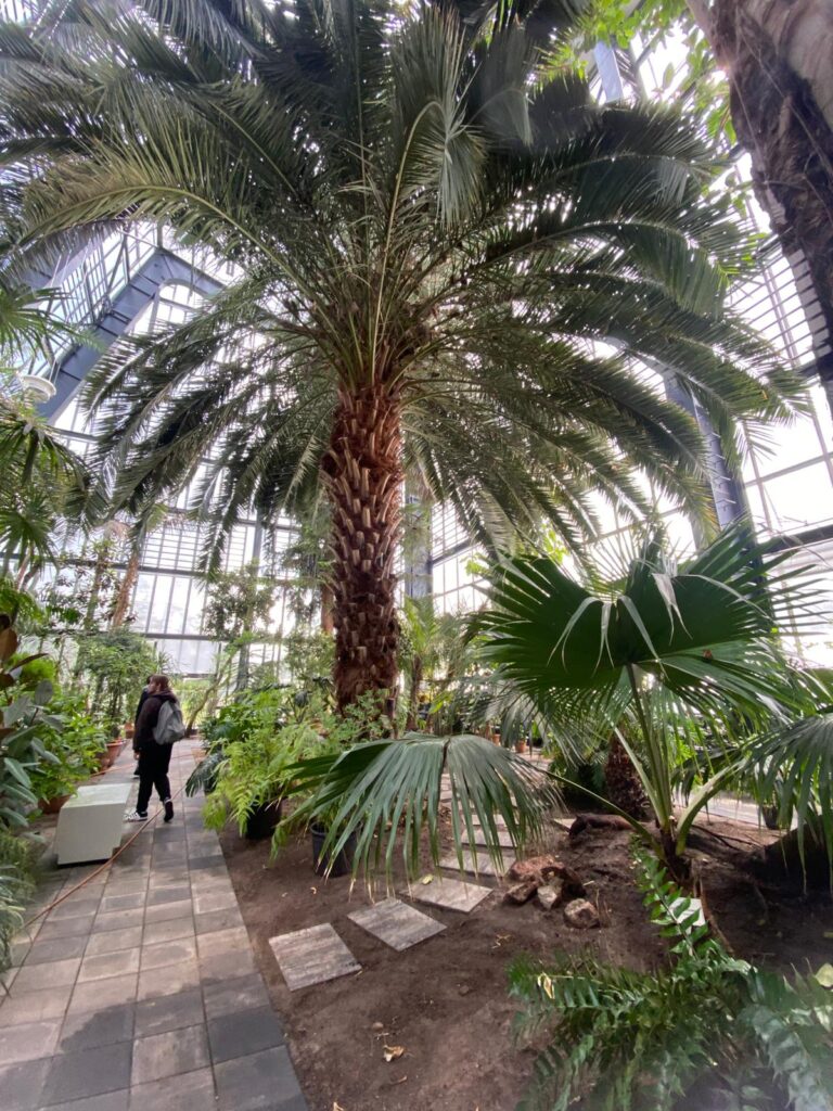Jardin botanique