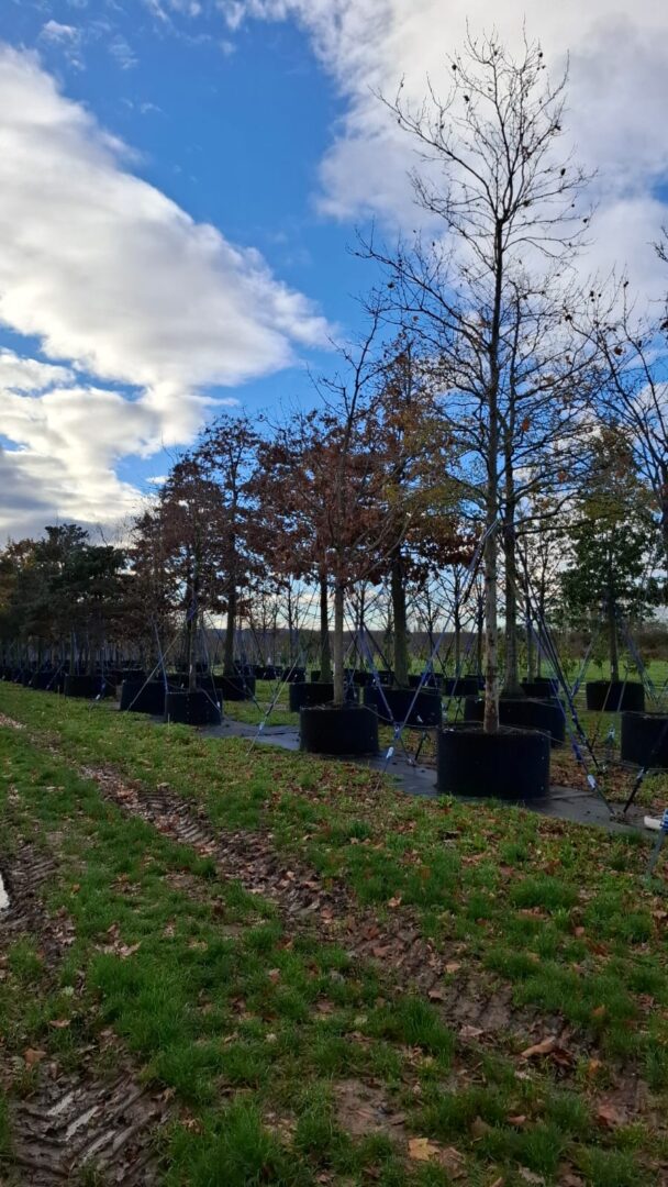 WhatsApp Image 2025-11-25 at 12.57.24