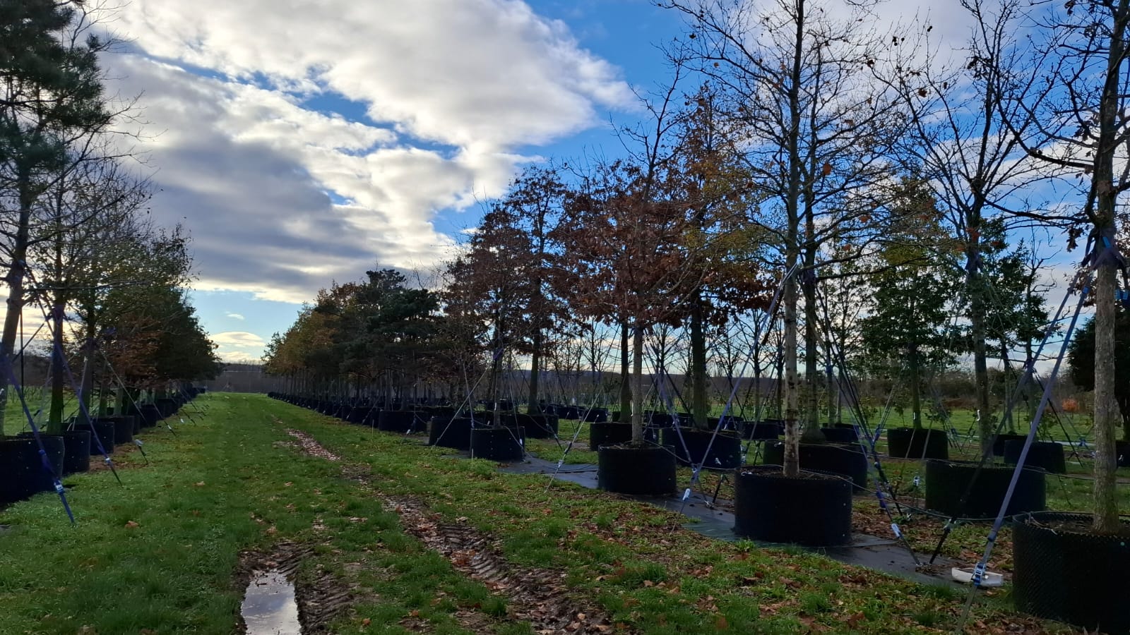 WhatsApp Image 2025-11-25 at 12.57.24(1)