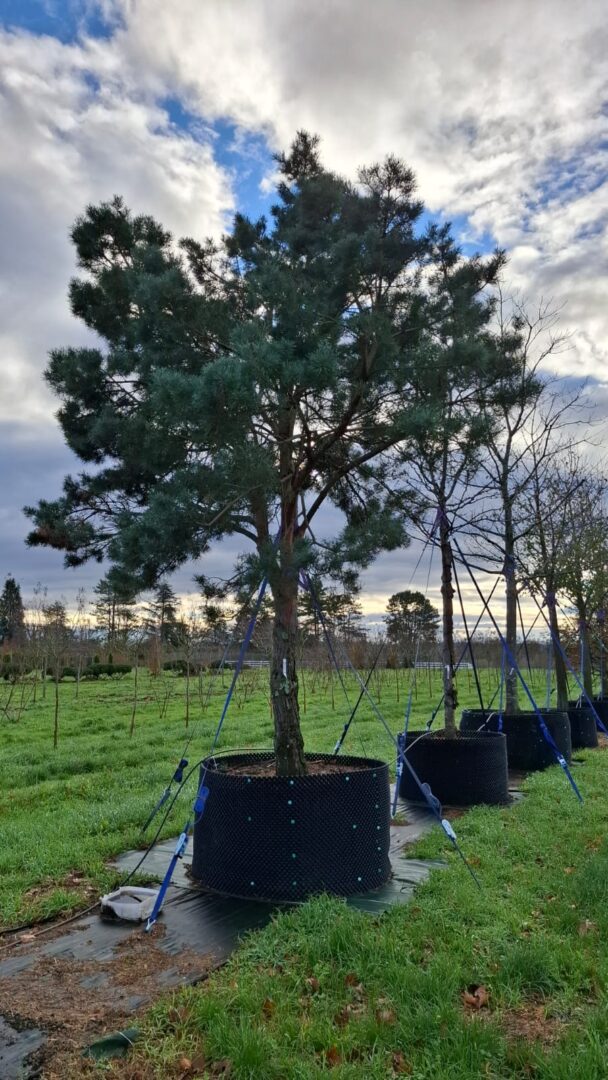 WhatsApp Image 2025-11-25 at 12.57.24(2)