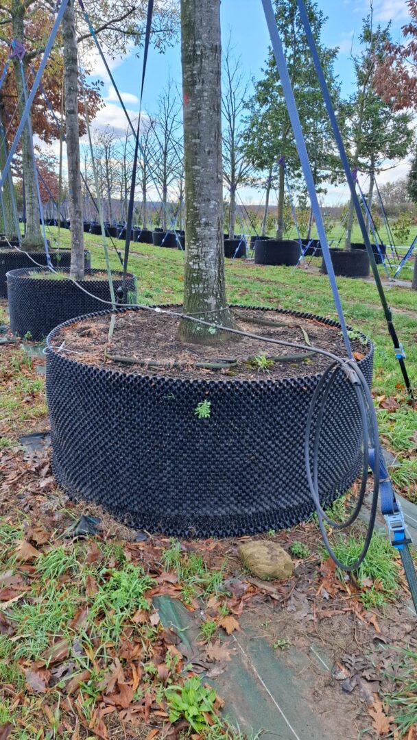 WhatsApp Image 2025-11-25 at 12.57.25(1)