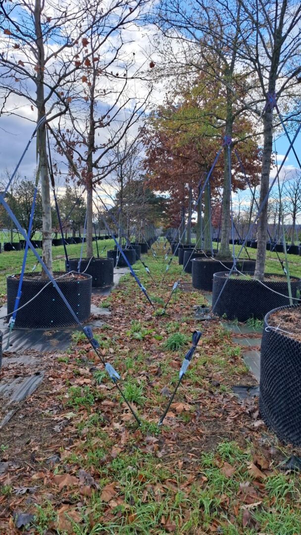 WhatsApp Image 2025-11-25 at 12.57.25(2)