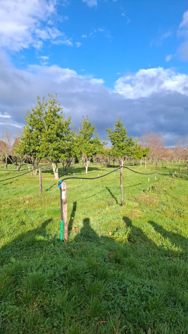 WhatsApp Image 2025-11-25 at 12.57.25(3)