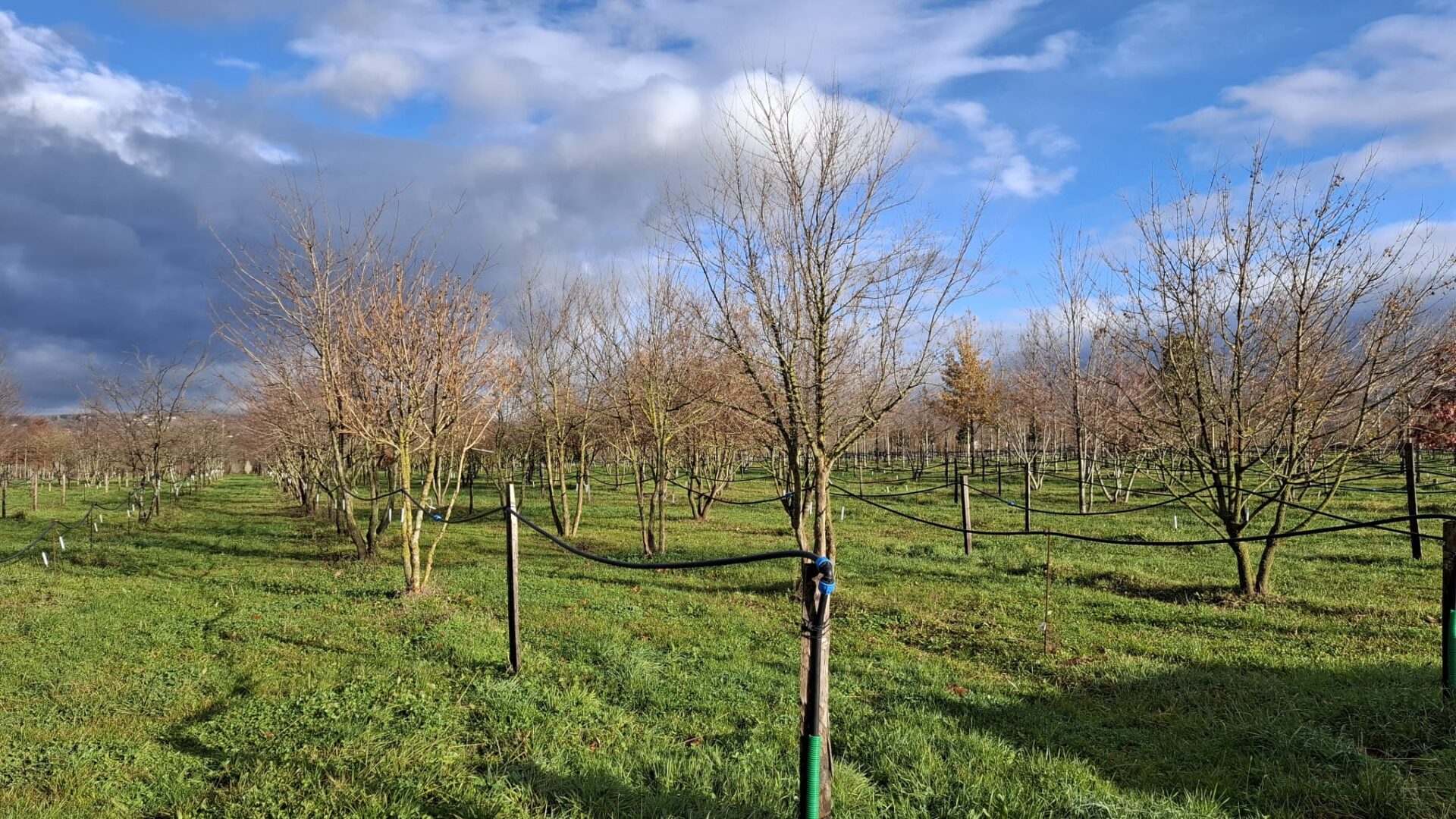 WhatsApp Image 2025-11-25 at 12.57.26