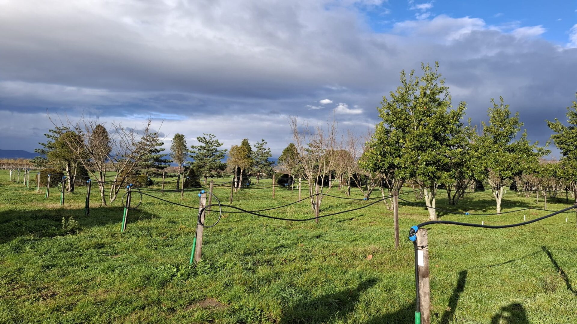 WhatsApp Image 2025-11-25 at 12.57.26(1)