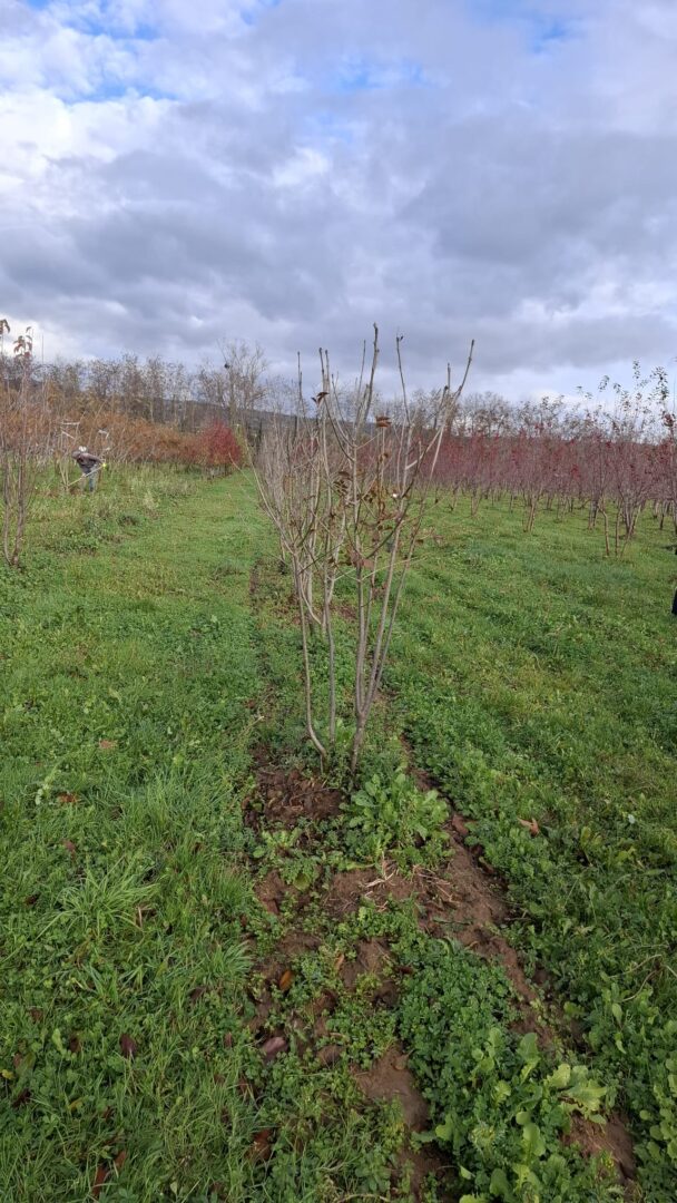 WhatsApp Image 2025-11-25 at 12.57.26(2)