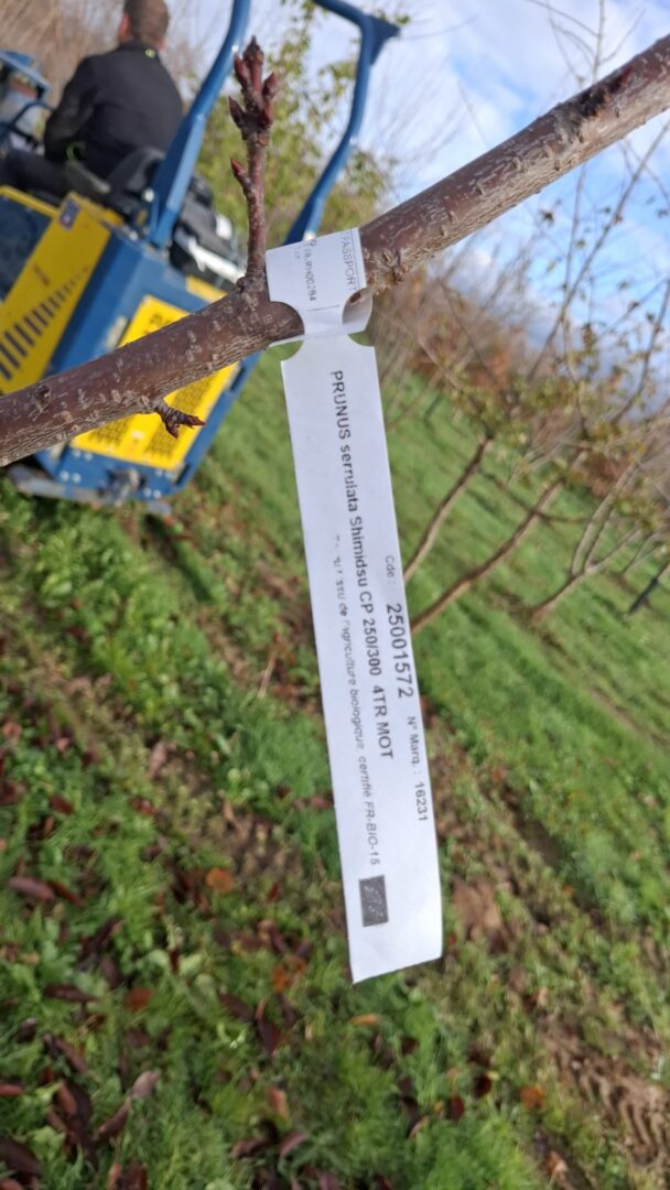 WhatsApp Image 2025-11-25 at 12.57.27(2)