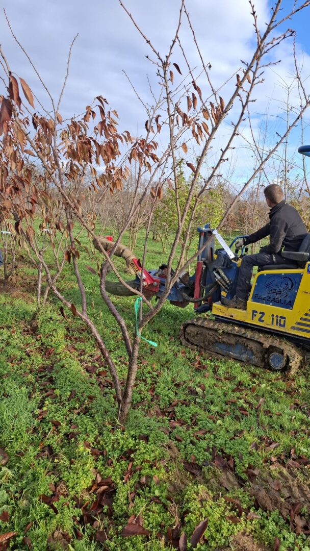 WhatsApp Image 2025-11-25 at 12.57.27(3)