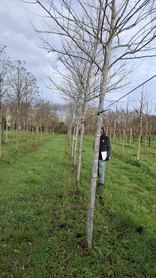 WhatsApp Image 2025-11-25 at 12.57.28