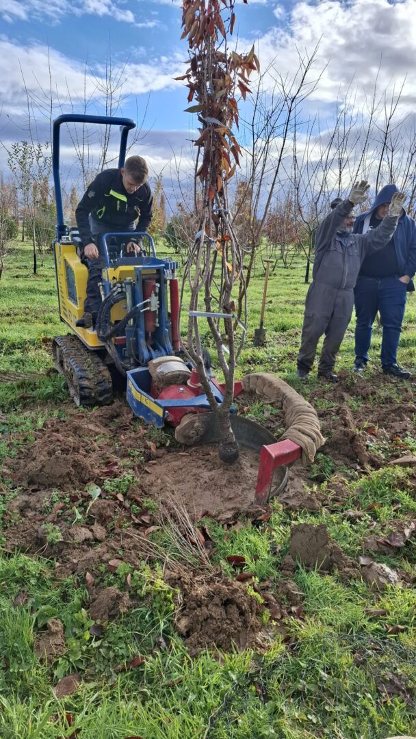 WhatsApp Image 2025-11-25 at 12.57.28(1)