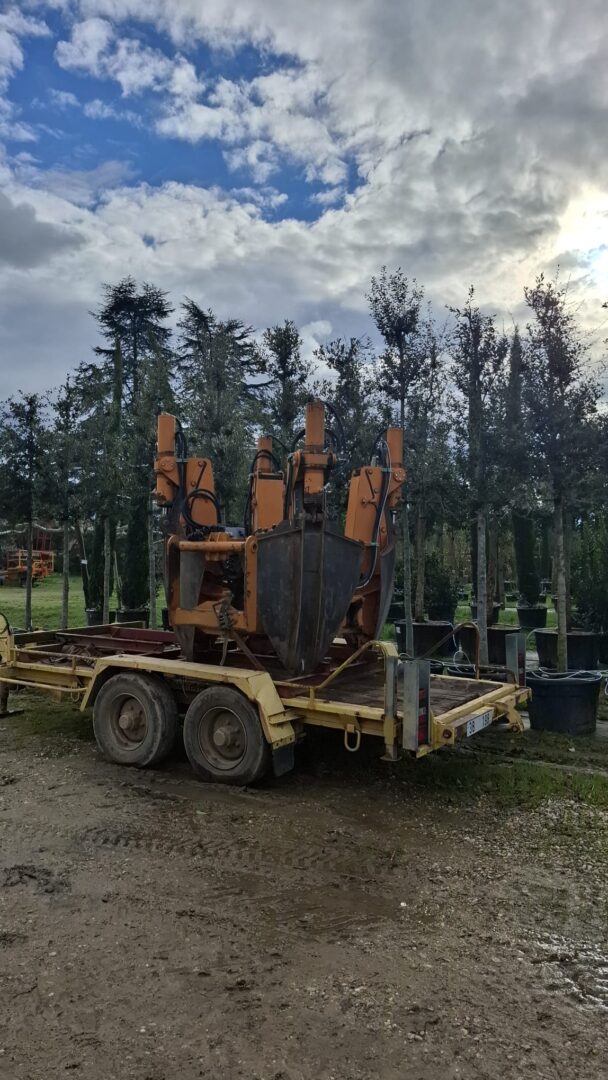 WhatsApp Image 2025-11-25 at 12.57.29