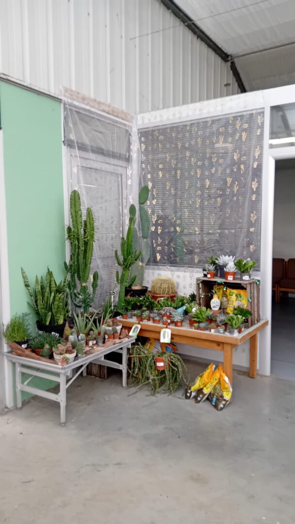 WhatsApp Image 2025-11-27 at 16.58.28(5)