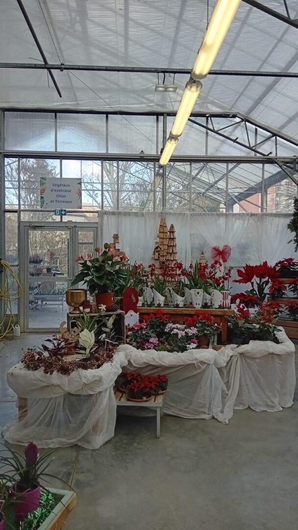 WhatsApp Image 2025-11-27 at 16.58.29(3)