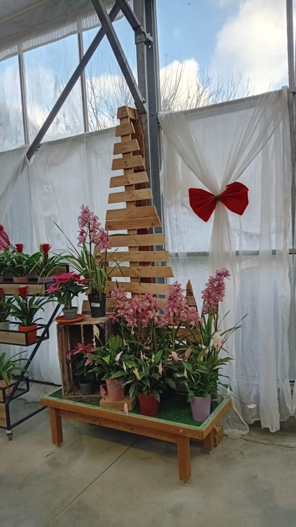 WhatsApp Image 2025-11-27 at 16.58.29(5)