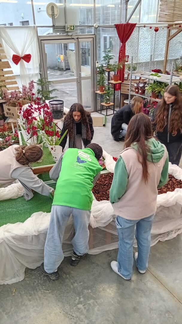 WhatsApp Image 2025-11-27 at 18.17.09(1)