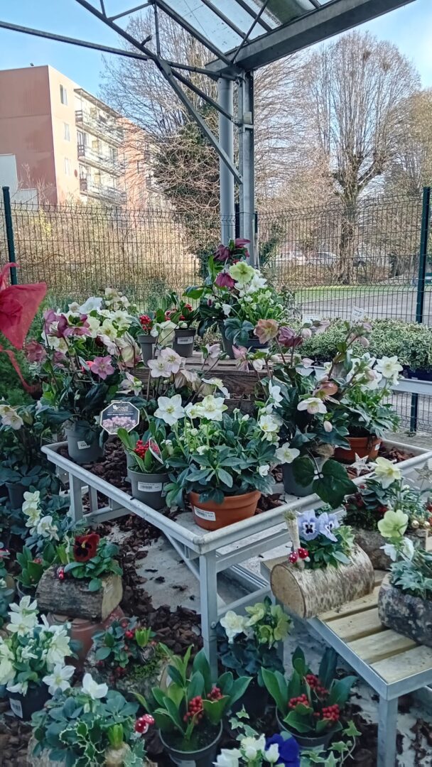 WhatsApp Image 2025-11-27 at 18.17.10