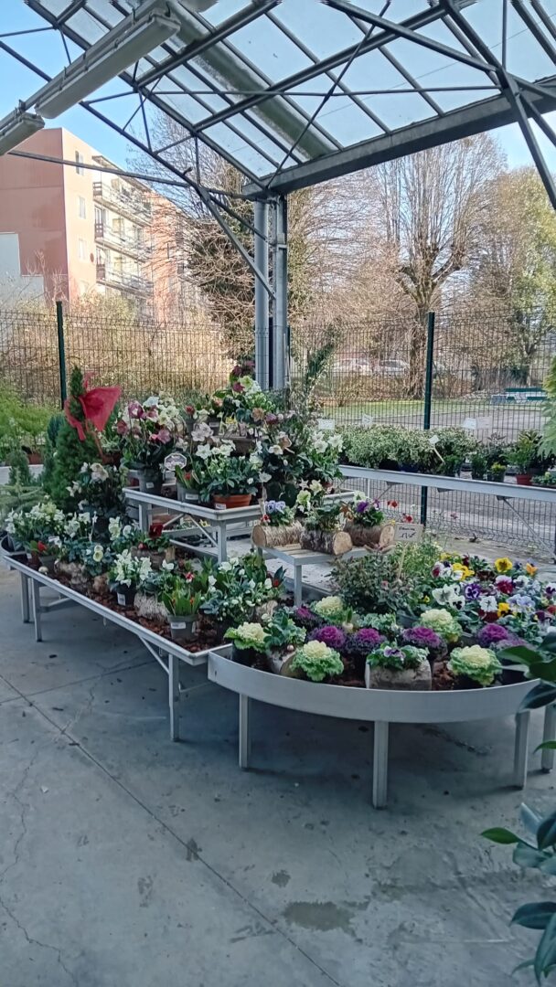 WhatsApp Image 2025-11-27 at 18.17.10(1)