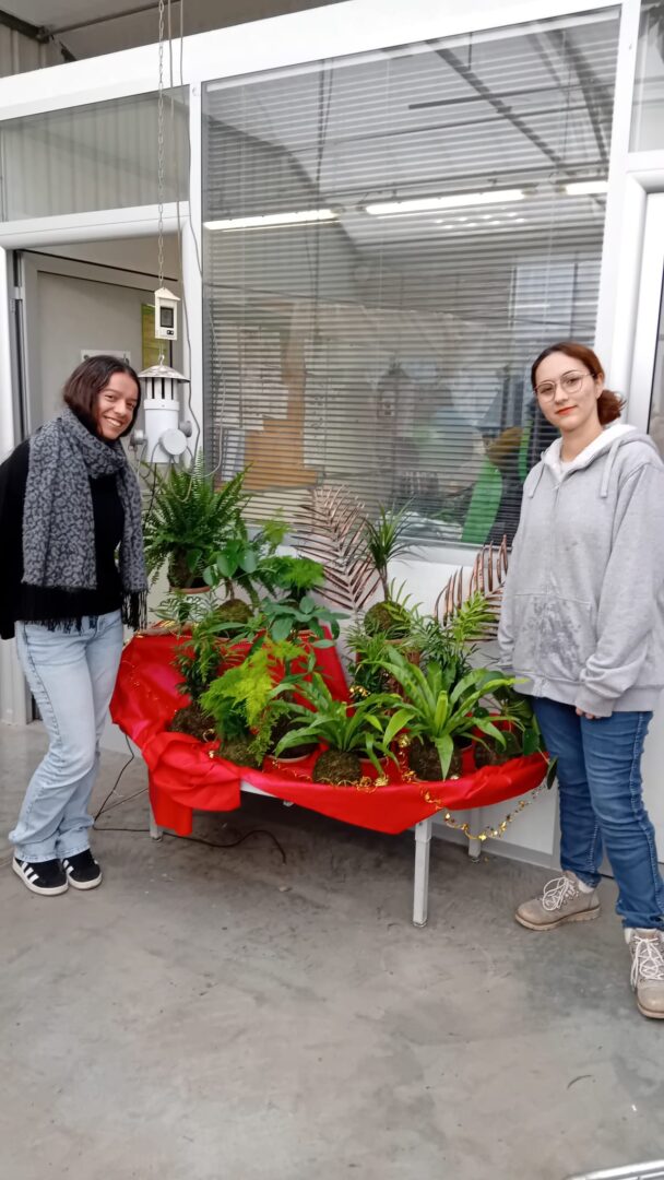 WhatsApp Image 2025-11-27 at 18.17.11