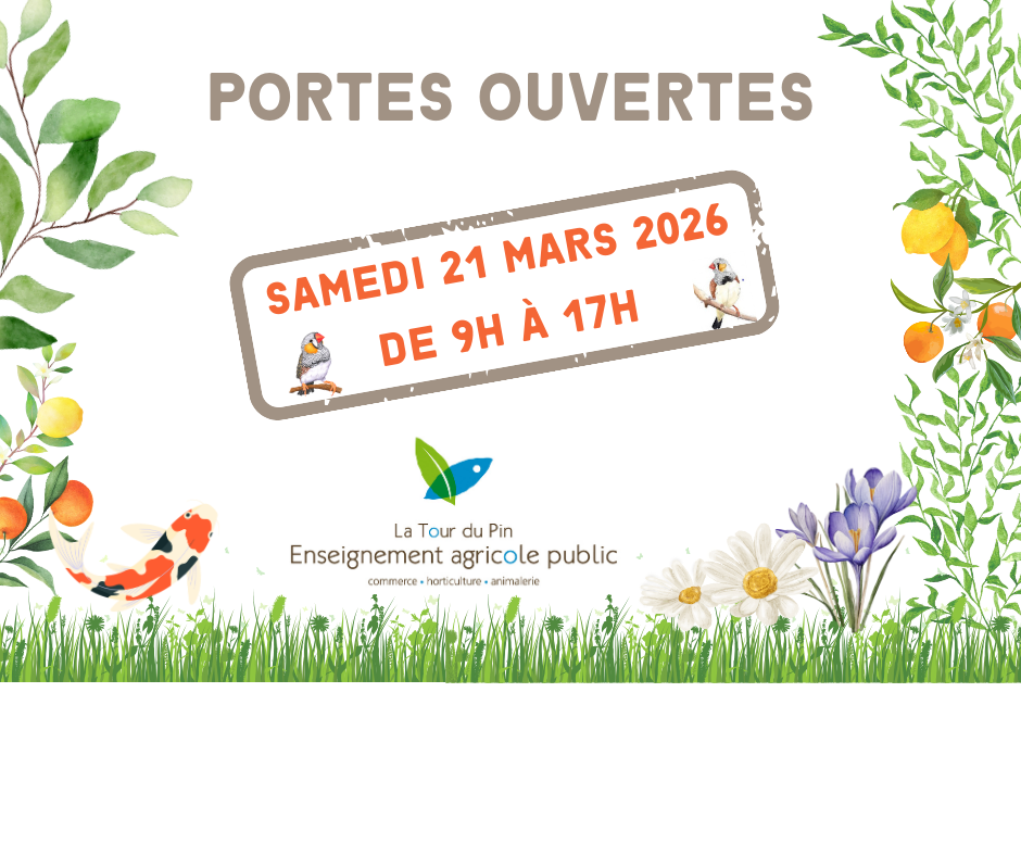 Carré pour Pop up Site JPO 2026 LPA (400 x 200 px)