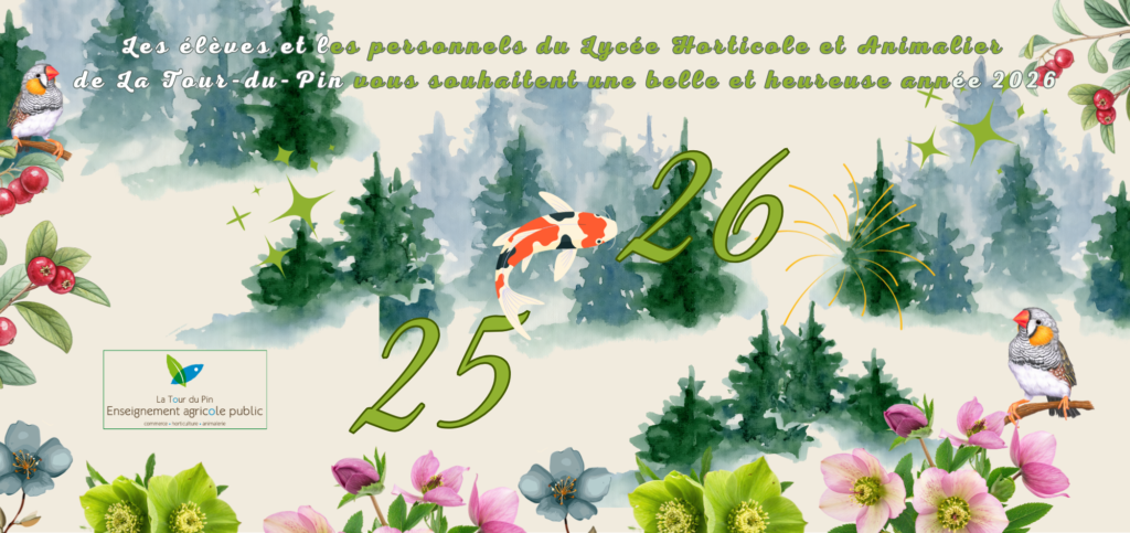 Carte Vœux LPA 2026