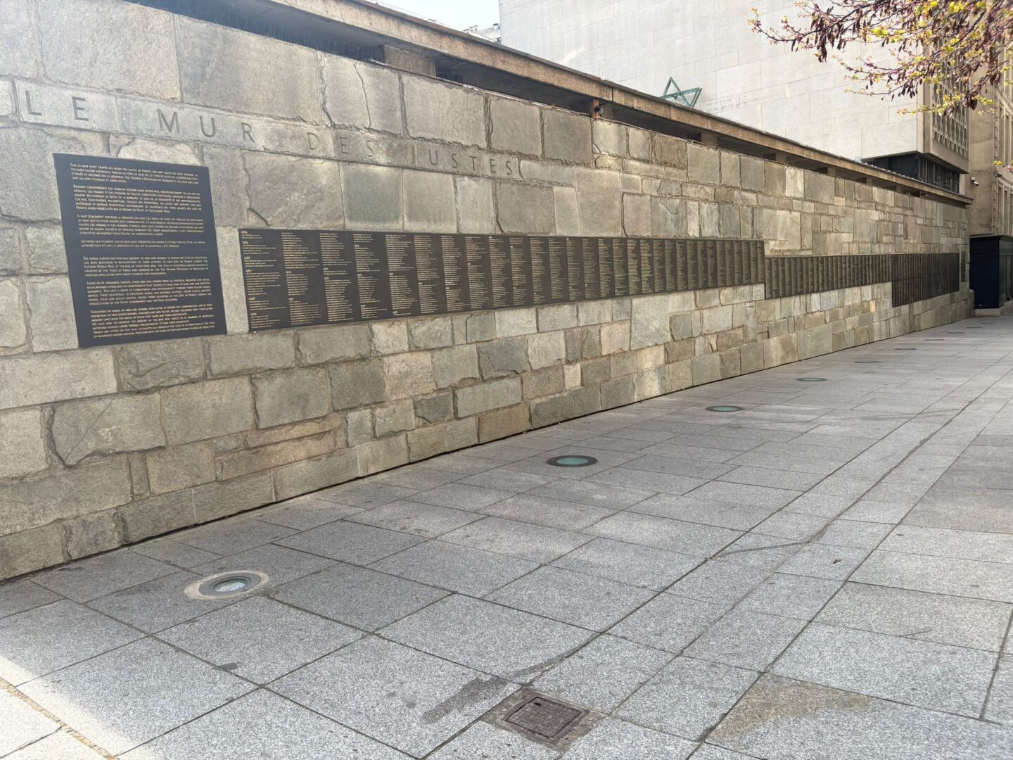 WhatsApp Image 2026-03-25 at 11.12.52(7)