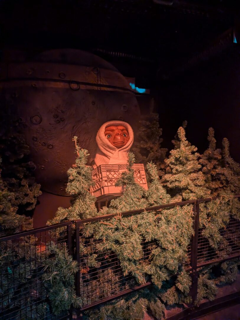 WhatsApp Image 2026-03-25 at 11.26.59(1)