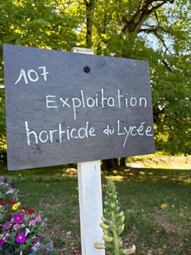 1 Foire aux plantes Pupetières