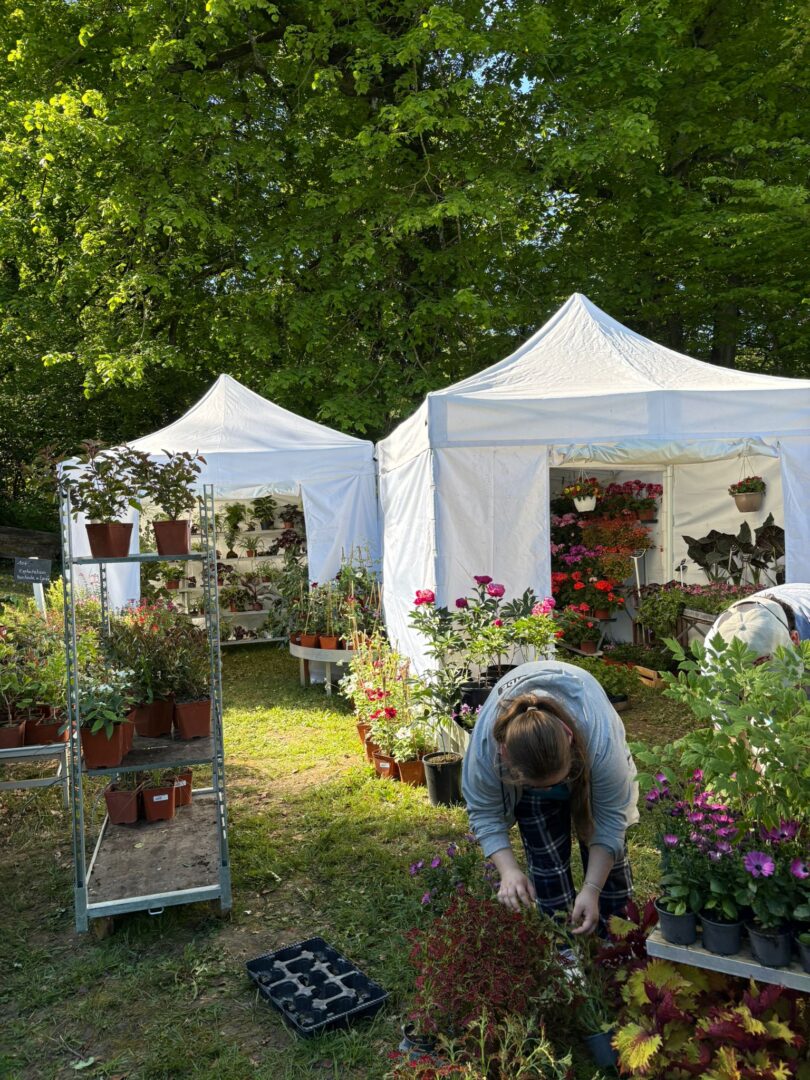 10 Foire aux plantes Pupetières