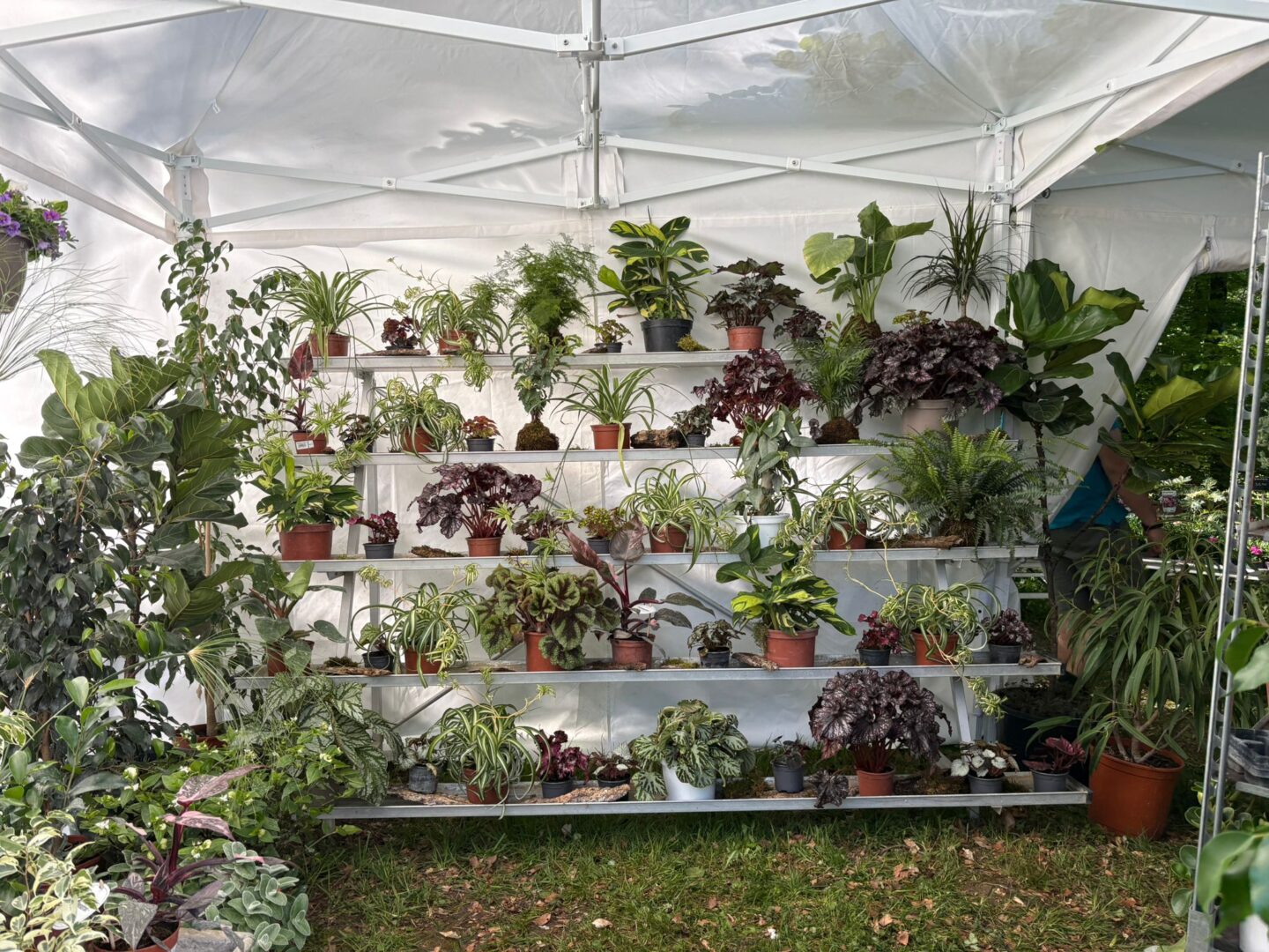 11 Foire aux plantes Pupetières