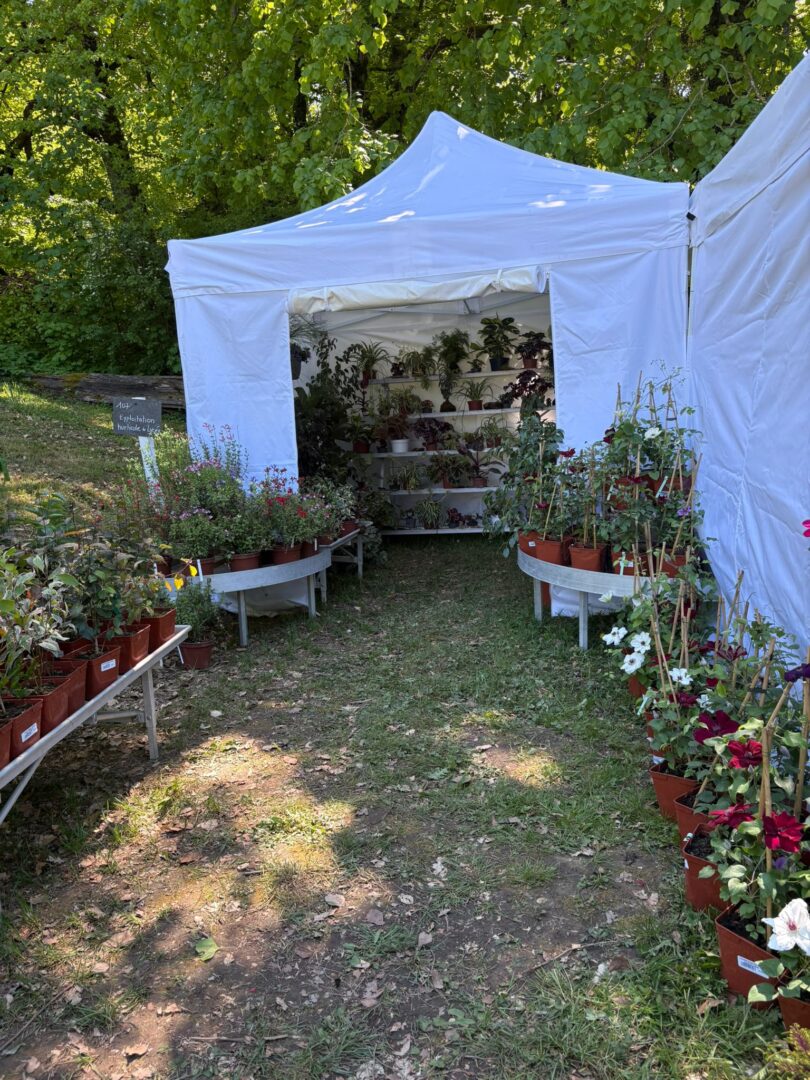 3 Foire aux plantes Pupetières