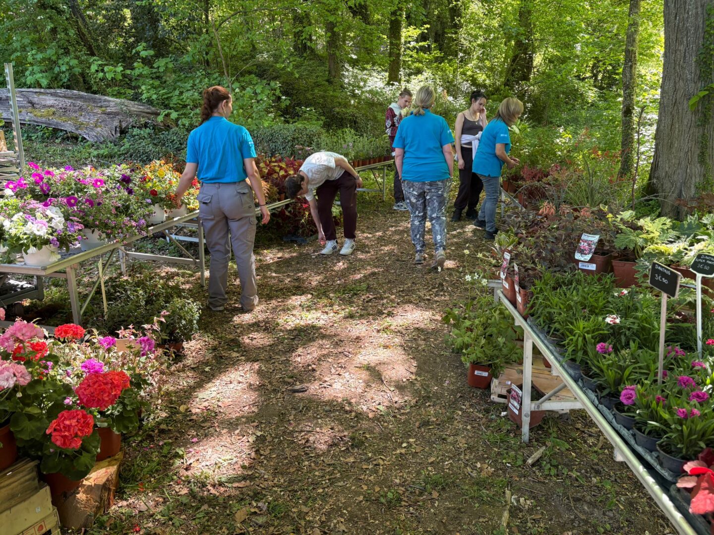 7 Foire aux plantes Pupetières