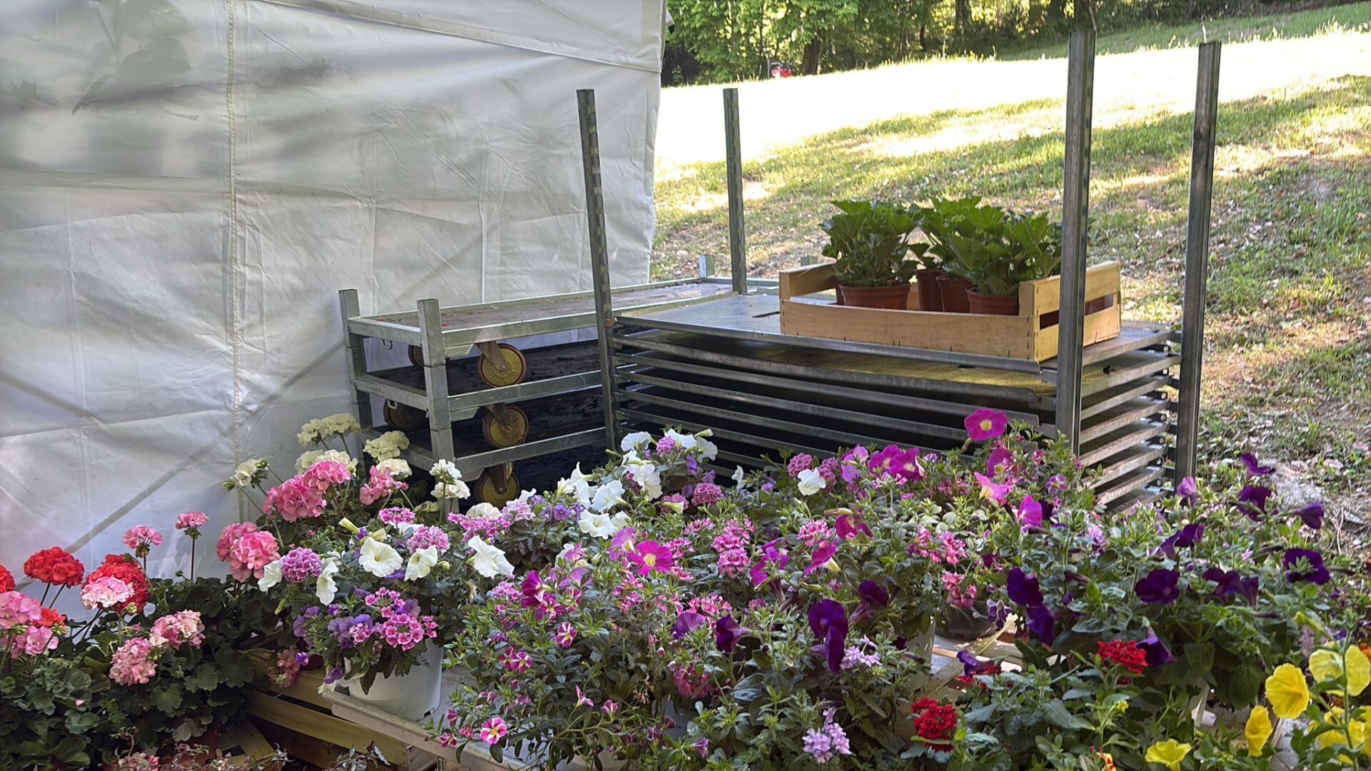 8 Foire aux plantes Pupetières