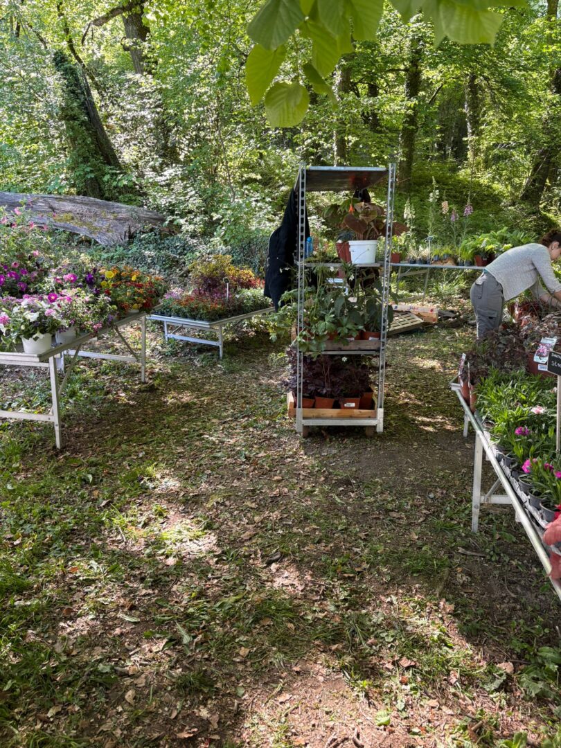 9 Foire aux plantes Pupetières