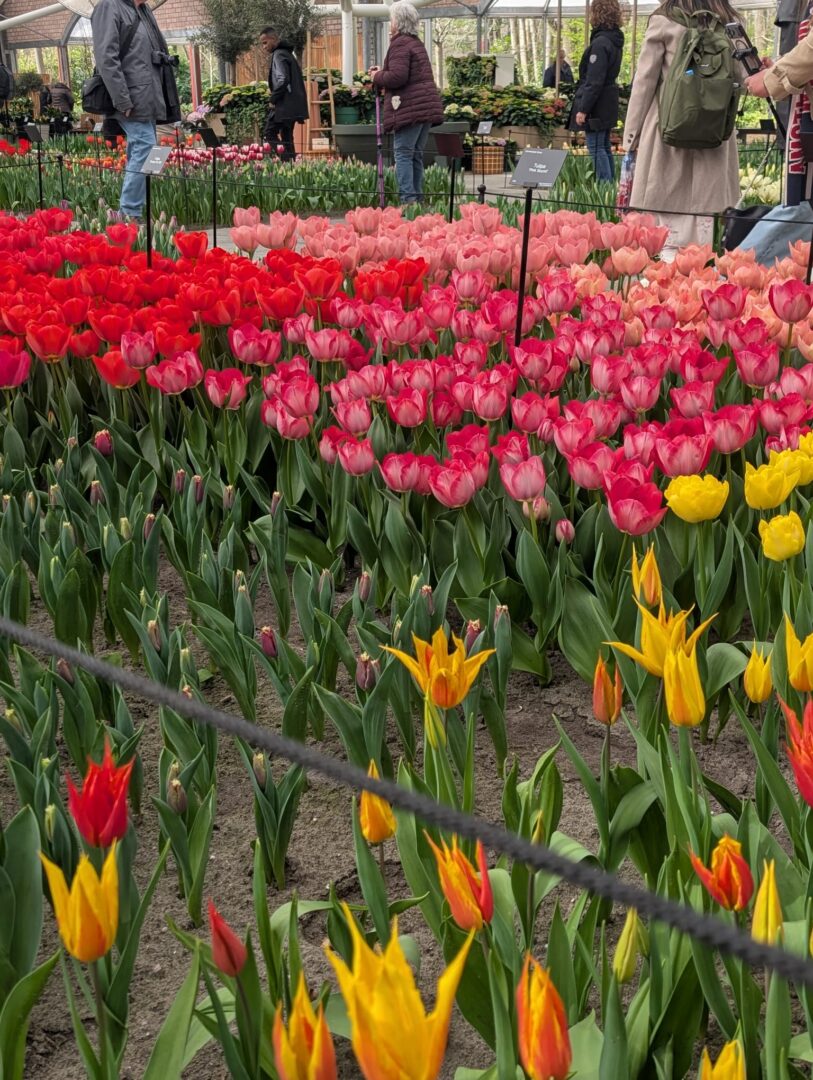 WhatsApp Image 2026-03-30 at 15.18.08(1)