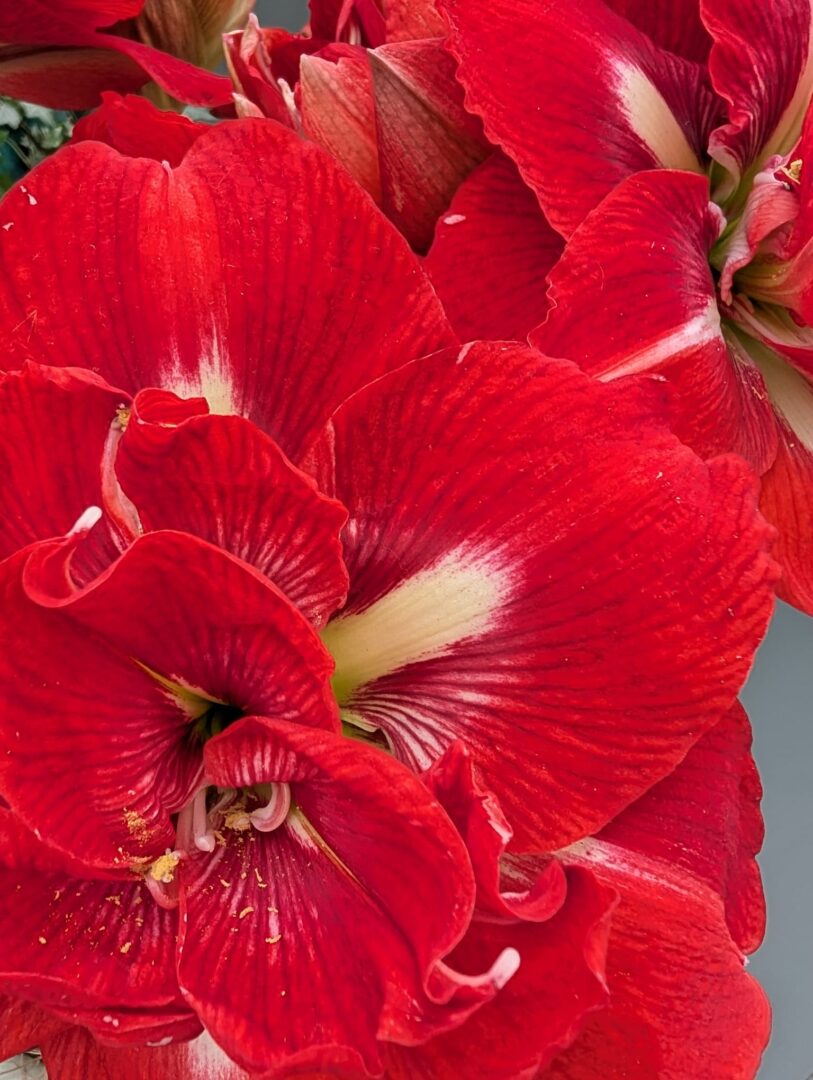 WhatsApp Image 2026-03-30 at 15.18.08(2)