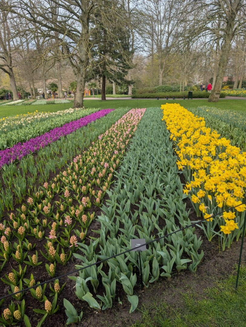 WhatsApp Image 2026-03-30 at 15.18.11