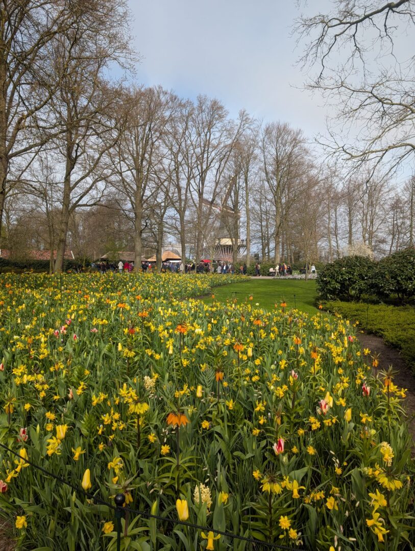 WhatsApp Image 2026-03-30 at 15.18.11(2)