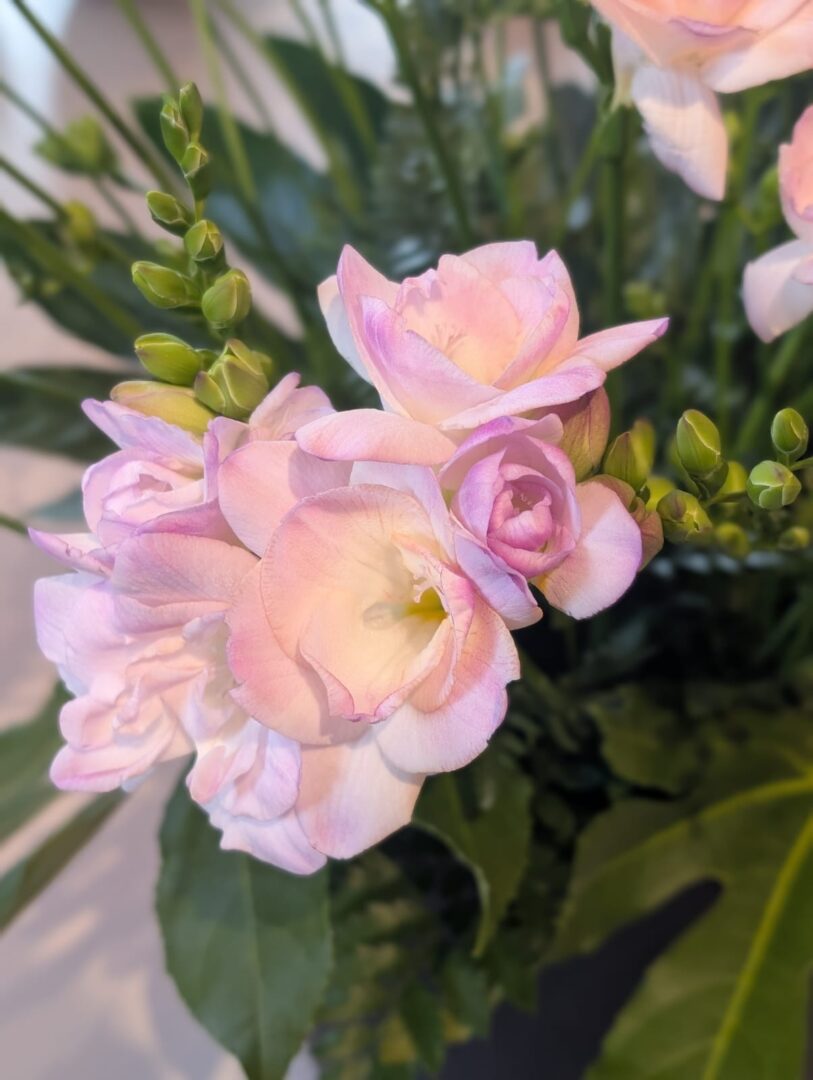 WhatsApp Image 2026-03-30 at 15.18.11(4)