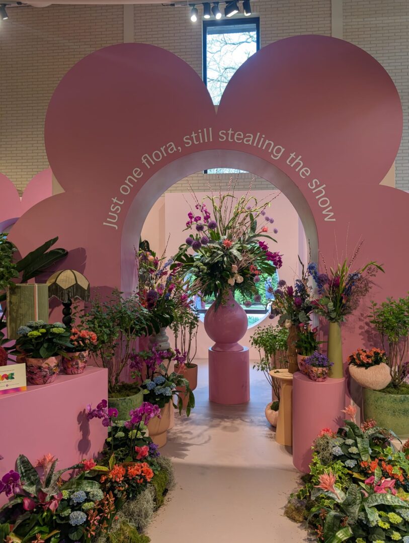 WhatsApp Image 2026-03-30 at 15.18.11(5)