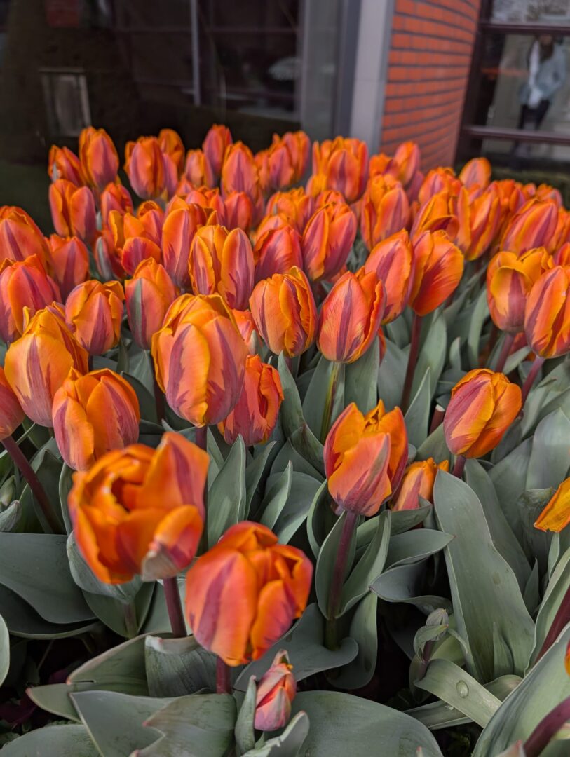 WhatsApp Image 2026-03-30 at 15.18.11(6)