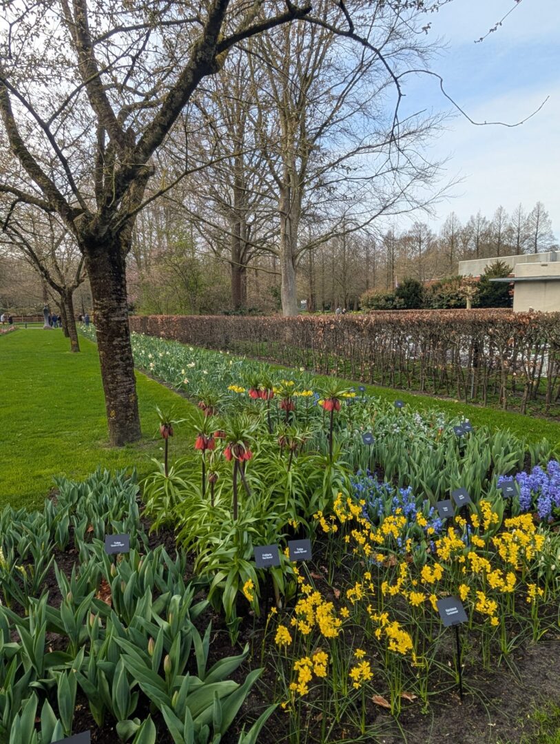 WhatsApp Image 2026-03-30 at 15.18.11(7)