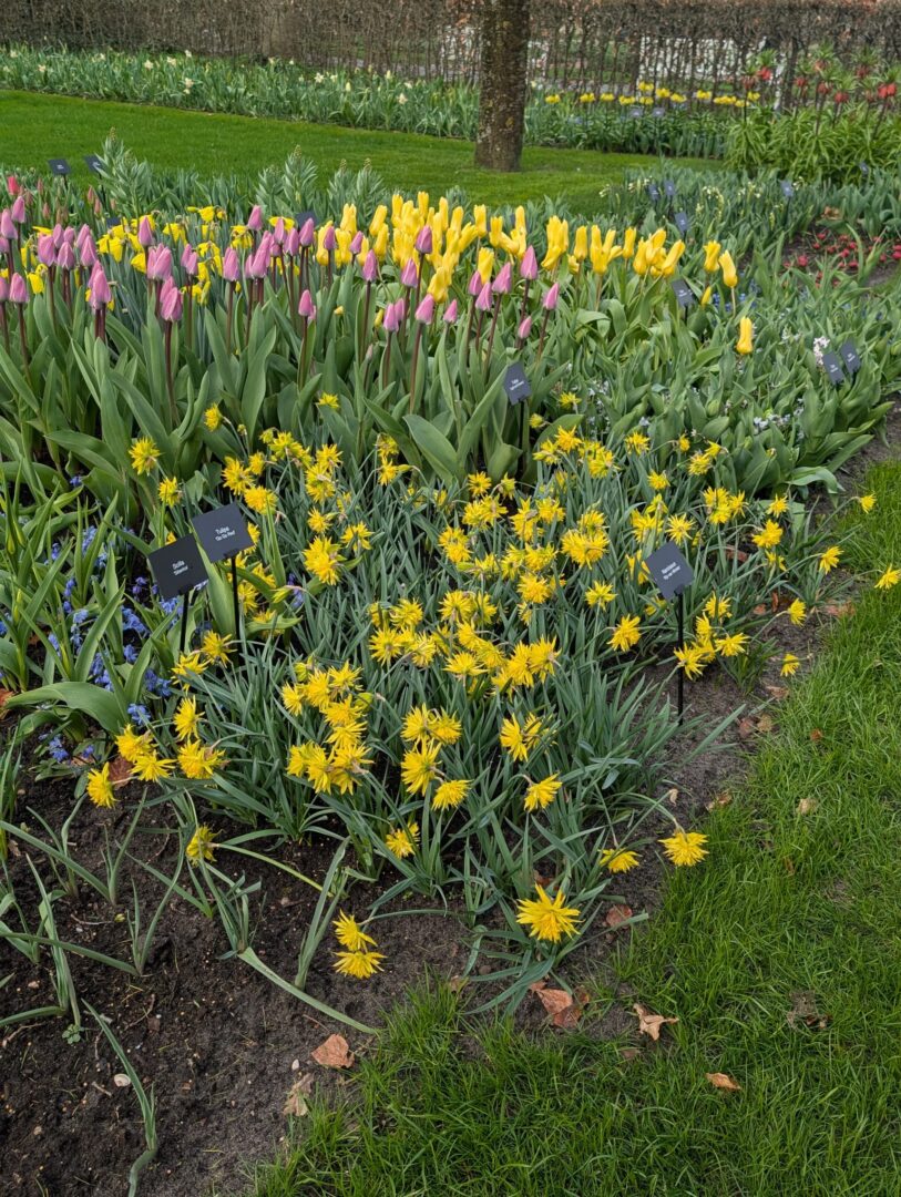 WhatsApp Image 2026-03-30 at 15.18.11(8)