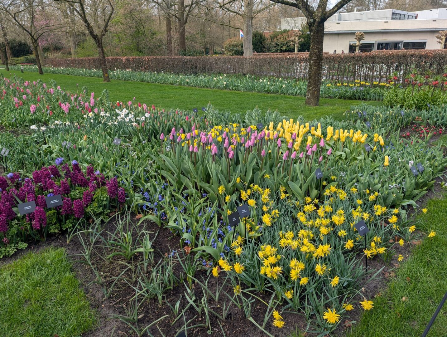 WhatsApp Image 2026-03-30 at 15.18.11(9)