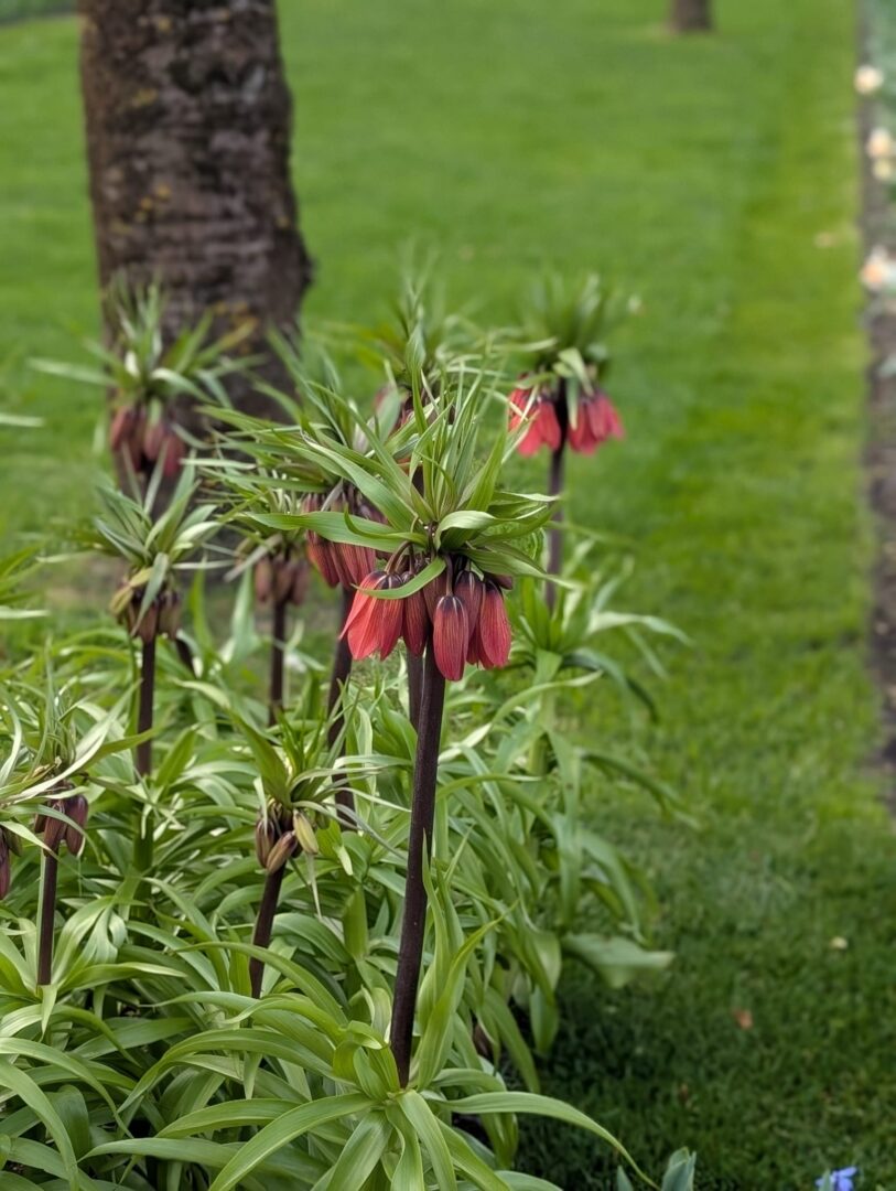 WhatsApp Image 2026-03-30 at 15.18.12