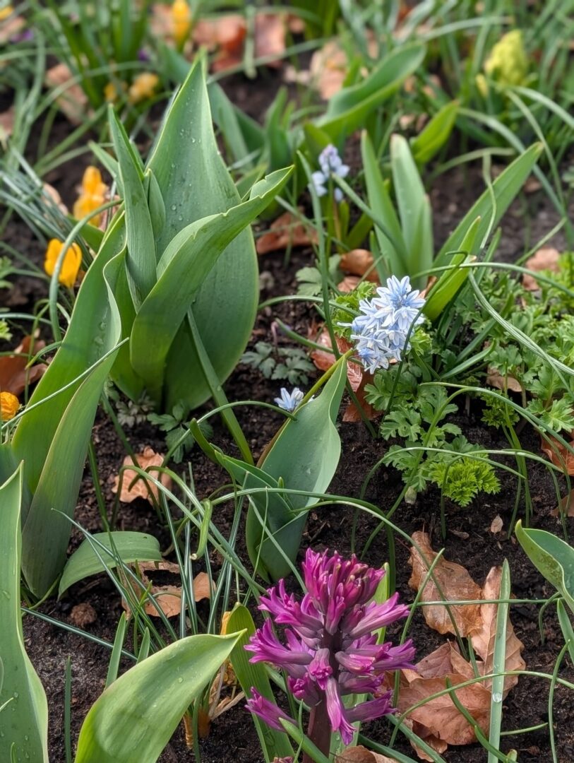 WhatsApp Image 2026-03-30 at 15.18.12(1)