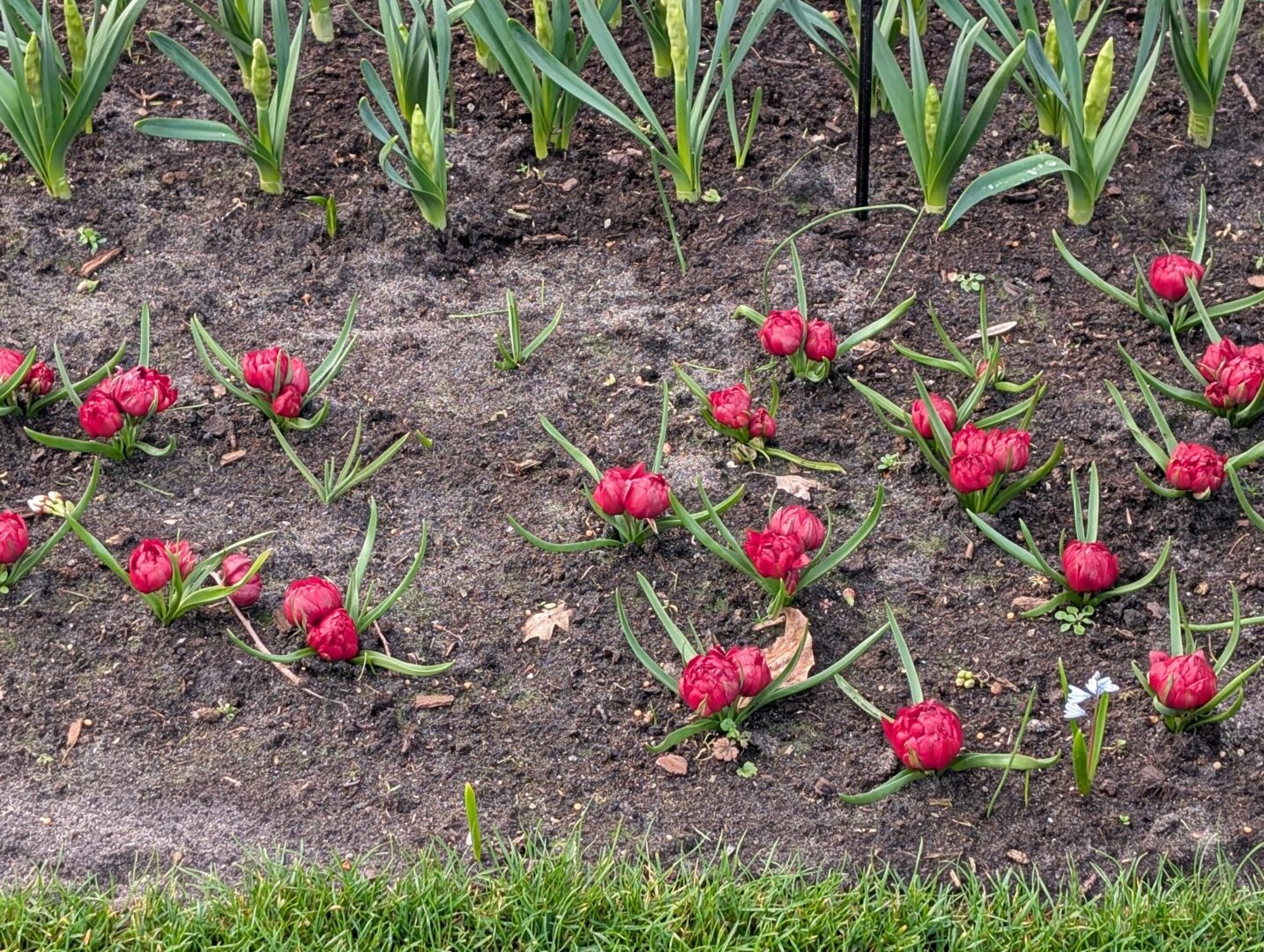 WhatsApp Image 2026-03-30 at 15.18.12(2)